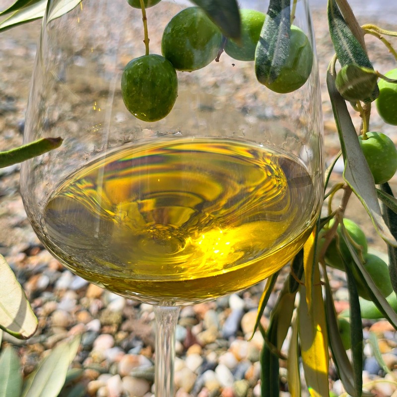 The Elixir of health